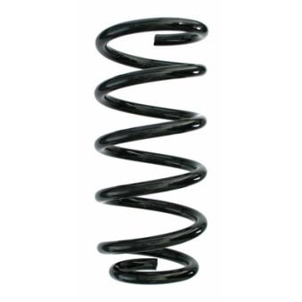 Ressort de suspension SPIDAN [87215]