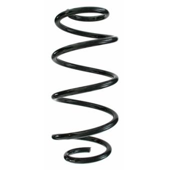 Ressort de suspension SPIDAN OEM A2463242304 Ressort de suspension SPIDAN OEM A2463242304