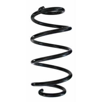 Ressort de suspension SPIDAN OEM 2463242404
