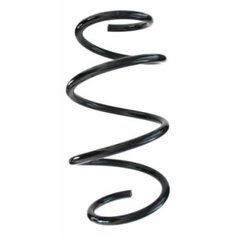 Ressort de suspension SPIDAN OEM 2463211104 Ressort de suspension SPIDAN OEM 2463211104