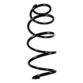 Ressort de suspension SPIDAN OEM 2123211604