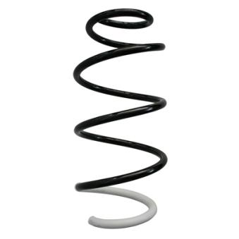 Ressort de suspension SPIDAN OEM 500407 Ressort de suspension SPIDAN OEM 500407
