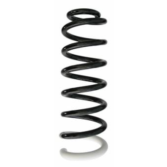 Ressort de suspension SPIDAN OEM 5102Y0 Ressort de suspension SPIDAN OEM 5102Y0