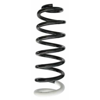 Ressort de suspension SPIDAN 87388