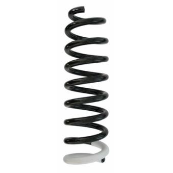 Ressort de suspension SPIDAN 87410 Ressort de suspension SPIDAN 87410