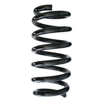 Ressort de suspension SPIDAN 87659