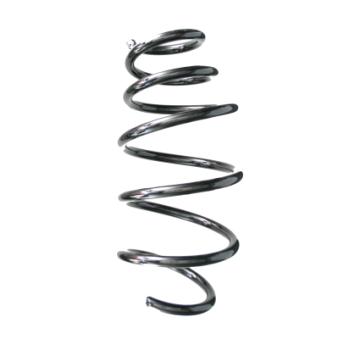 Ressort de suspension SPIDAN OEM 22879059 Ressort de suspension SPIDAN OEM 22879059