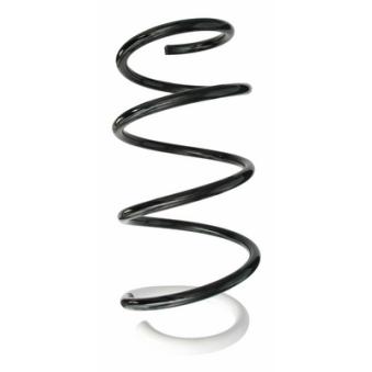 Ressort de suspension SPIDAN OEM 540100002R