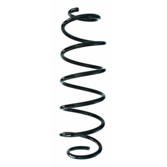 Ressort de suspension SPIDAN OEM 550200003R
