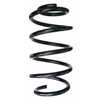 Ressort de suspension SPIDAN 87800