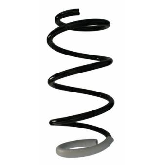 Ressort de suspension SPIDAN [87858]