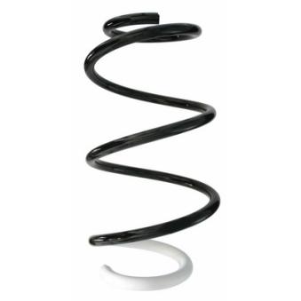Ressort de suspension SPIDAN OEM 540107005R