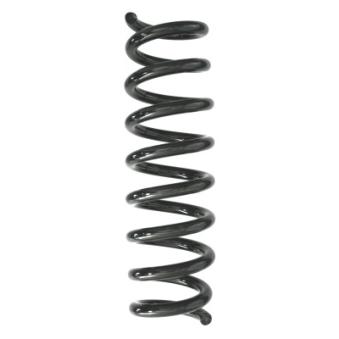 Ressort de suspension SPIDAN [87935]