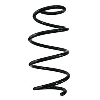 Ressort de suspension SPIDAN 88209