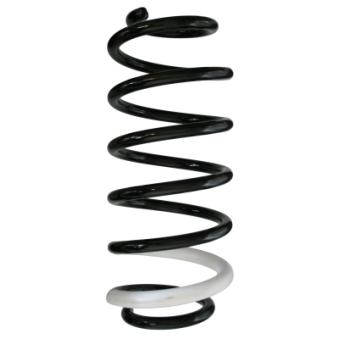 Ressort de suspension SPIDAN OEM RKB500220