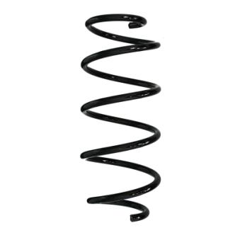 Ressort de suspension SPIDAN OEM 1830959