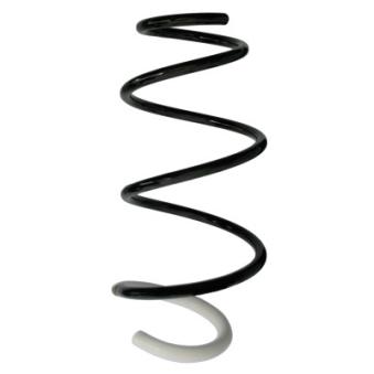 Ressort de suspension SPIDAN OEM 540103930R