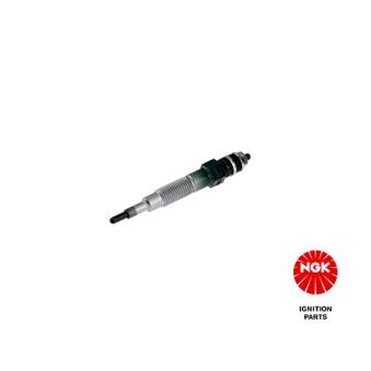 Bougie de préchauffage NGK OEM 11065V7202