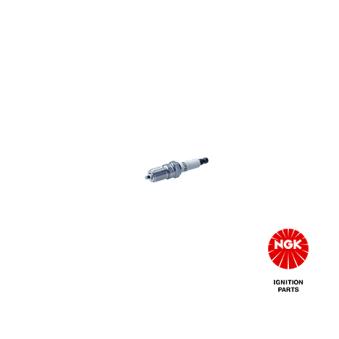 Bougie d'allumage NGK OEM 101000029AA