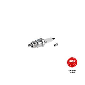 Bougie d'allumage NGK [4652]