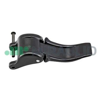 Interrupteur, Capote MIRAGLIO 36/8