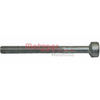 Vis, support pour controleur d'injecteurs METZGER 0873014