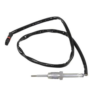Capteur, température des gaz METZGER 0894391 pour BMW Série 3 320 i - 170cv
