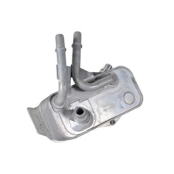 Radiateur d'huile de boîte automatique METZGER OEM 17217536929 Radiateur d'huile de boîte automatique METZGER OEM 17217536929