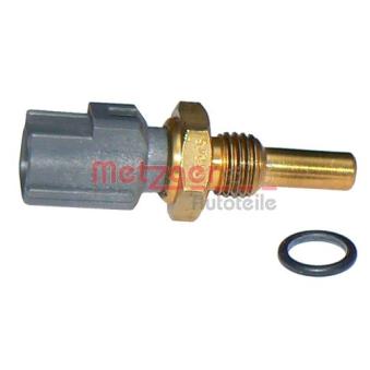 Sonde de température, liquide de refroidissement METZGER 0905275 pour SUZUKI IGNIS 1.3 4x4 - 94cv