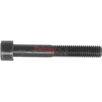 Vis, étrier de frein METZGER [11502]