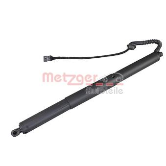 Moteur électrique, hayon METZGER OEM 51247294469 Moteur électrique, hayon METZGER OEM 51247294469
