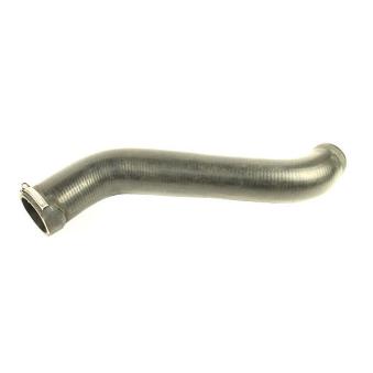 Gaine de suralimentation METZGER OEM 2E0145856A