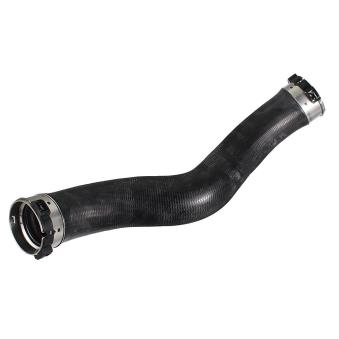 Gaine de suralimentation METZGER OEM 11618572859