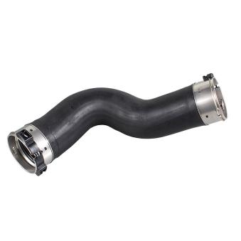 Gaine de suralimentation METZGER OEM 11618571025