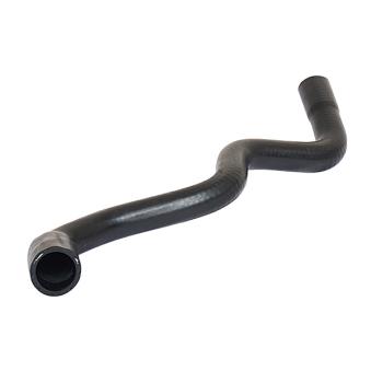 Durite de radiateur METZGER OEM 1256705