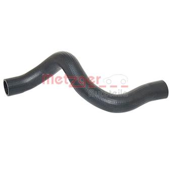 Durite de radiateur METZGER OEM 1337840