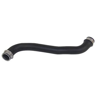 Durite de radiateur METZGER OEM A2115013582