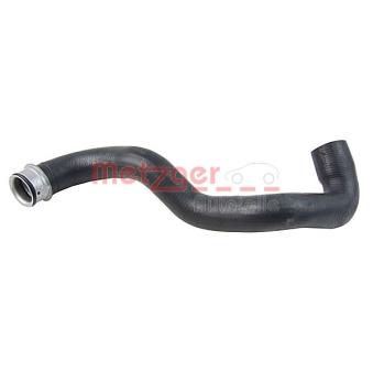 Durite de radiateur METZGER 2420665