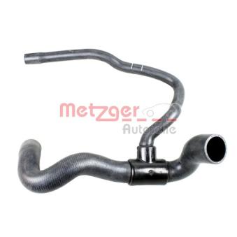 Durite de radiateur METZGER 2420887