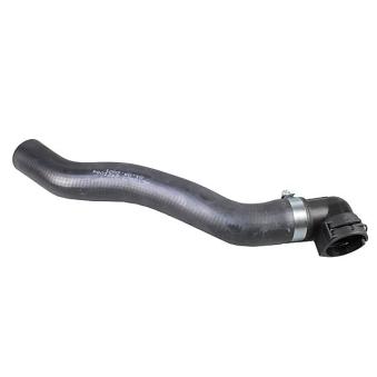 Durite de radiateur METZGER [2421094]