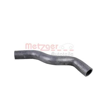Durite de radiateur METZGER OEM 7700418254
