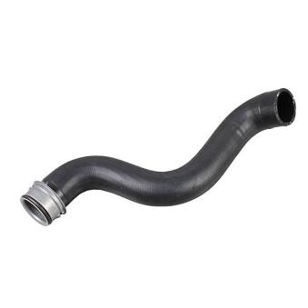 Durite de radiateur METZGER 2421182 pour FIAT DUNA E 220 T CDI - 150cv