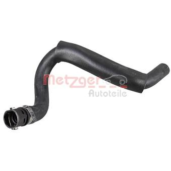 Durite de radiateur METZGER 2421237