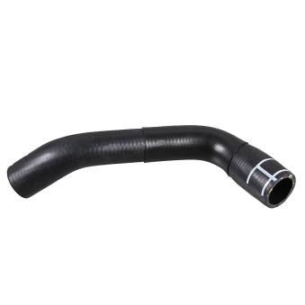 Durite de radiateur METZGER 2421713
