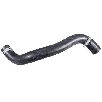 Durite de radiateur METZGER OEM 254152l600