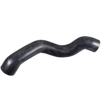 Durite de radiateur METZGER 2421764 pour MERCEDES-BENZ CLK 230 Kompressor - 193cv