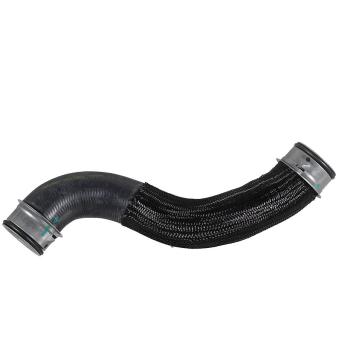 Durite de radiateur METZGER 2421855 pour VOLKSWAGEN VENTO E 200 CDI - 136cv