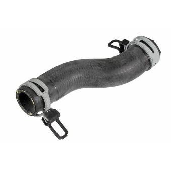 Durite de radiateur METZGER 2422324