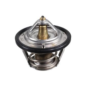 Thermostat d'eau METZGER OEM 21200AA200