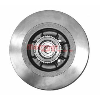 Jeu de 2 disques de frein arrière METZGER OEM 7701206328